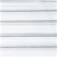  Zebra White